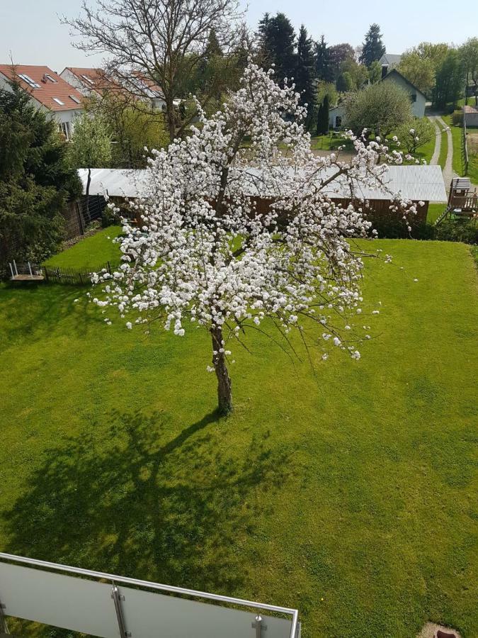 Apartment Near Frankfurt, Fantastic View! Usingen Экстерьер фото